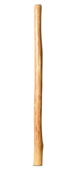 Medium Size Natural Finish Didgeridoo (TW1252)